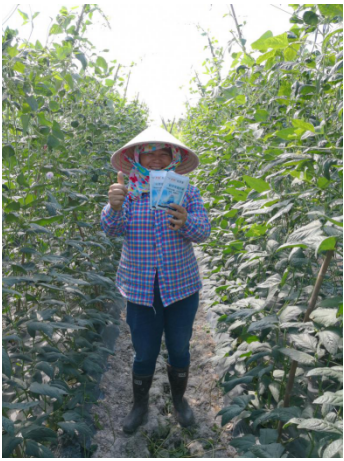 1515669200456449vfxb.png blob.png