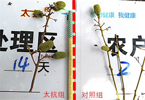 1527235468961249jF2V.png 圖片6_副本.png