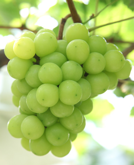 1554273094346947D236.png 圖片3.png