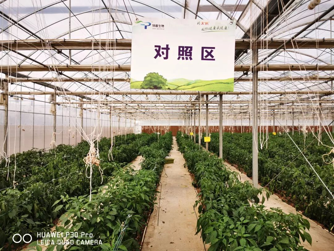 1572424887353991mgBW.png 圖片11.png